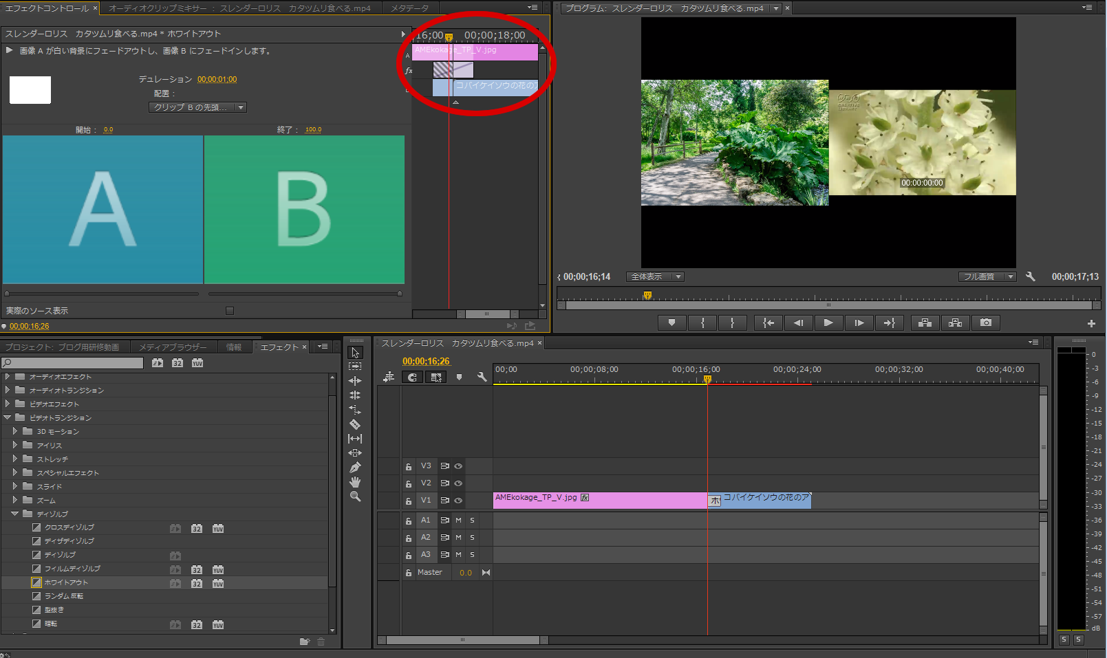 リッチな動画を作成！Adobe Premiere Pro CCの使い方その2  ホワイト 